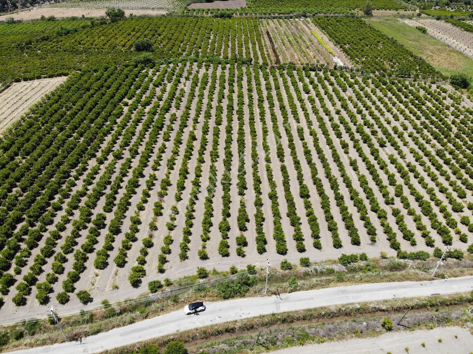 Ortaca Mergenli De 13 500 M2 Tarla Satılık