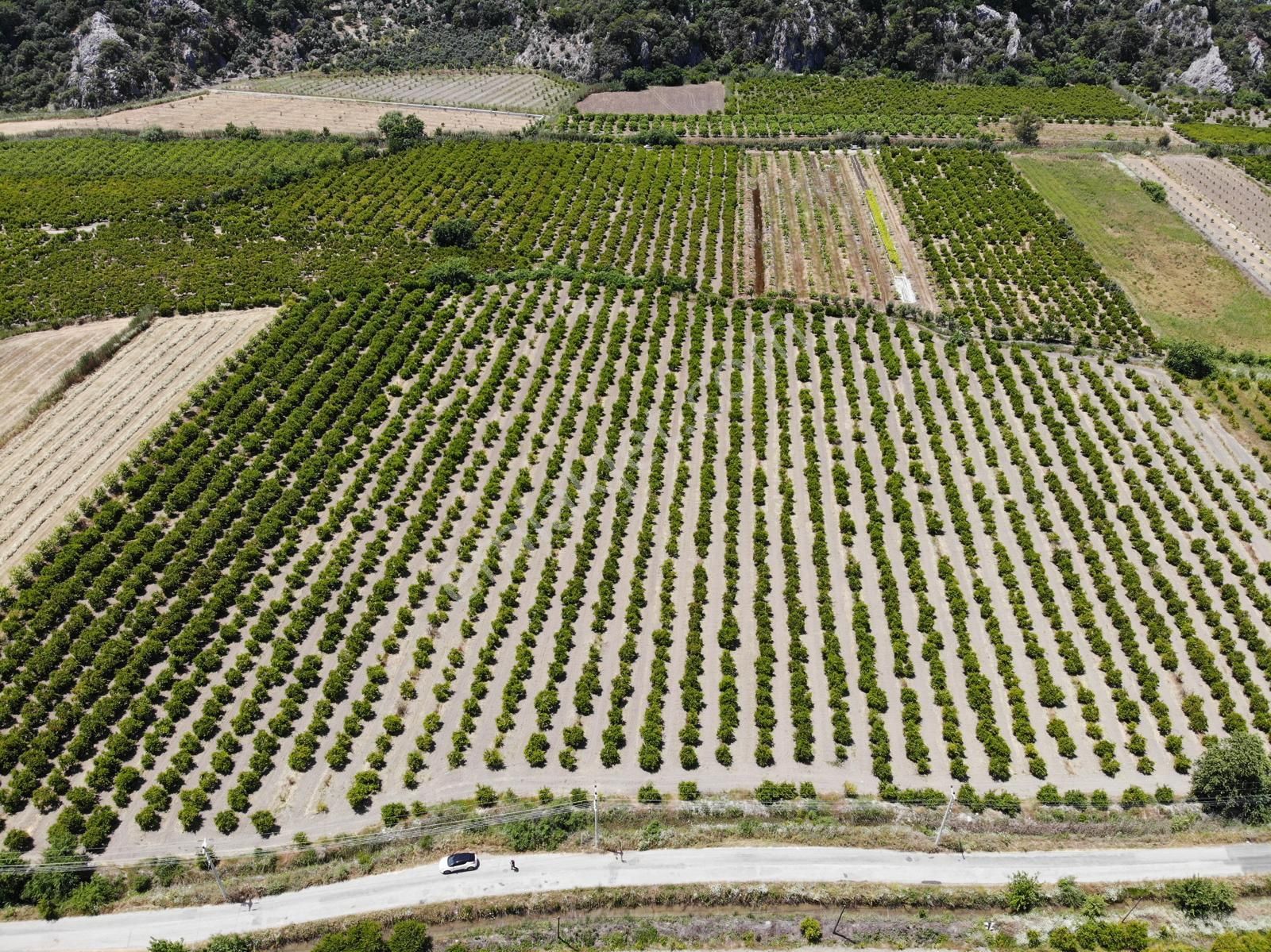 Ortaca Mergenli De 13 500 M2 Tarla Satılık - Görsel 5