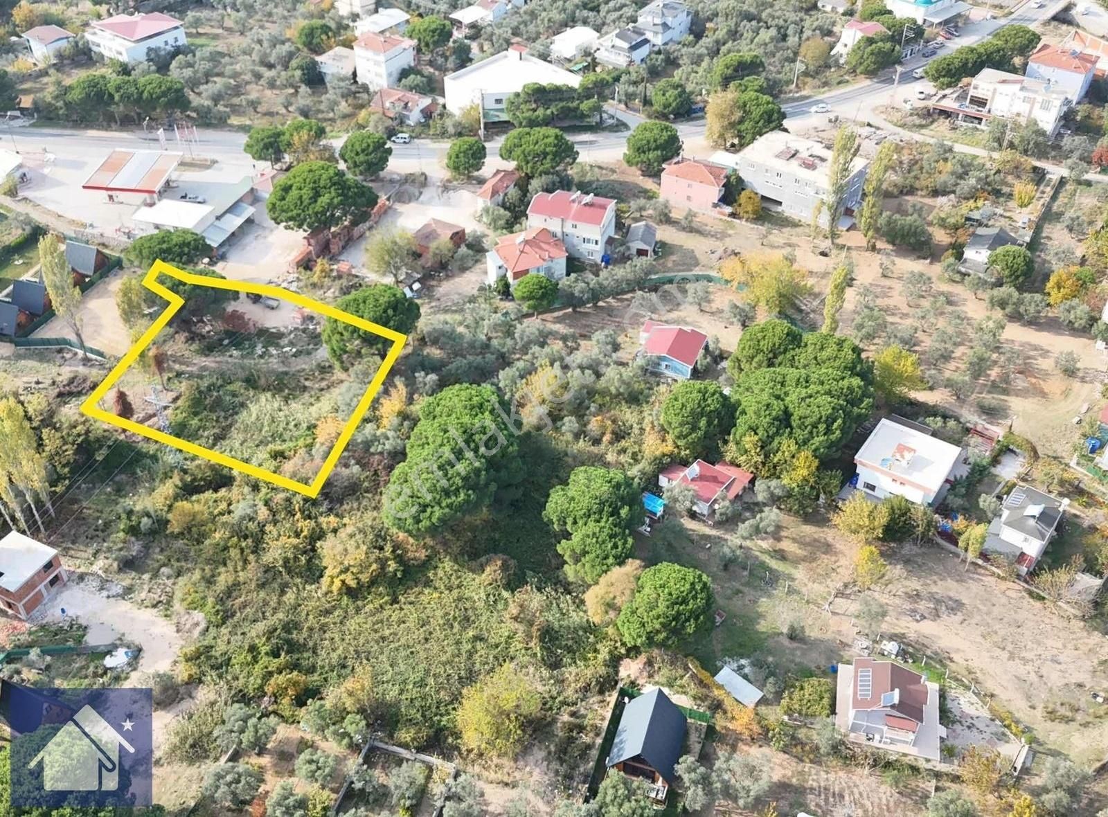 *fıstıklı Köyünde*1676 M2*bungalov Tesislerine Komşu*zeytinlik