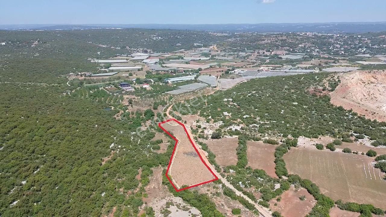 Esenpınar Merkezde Bulunan 2.946 M2 Satılık Tarla