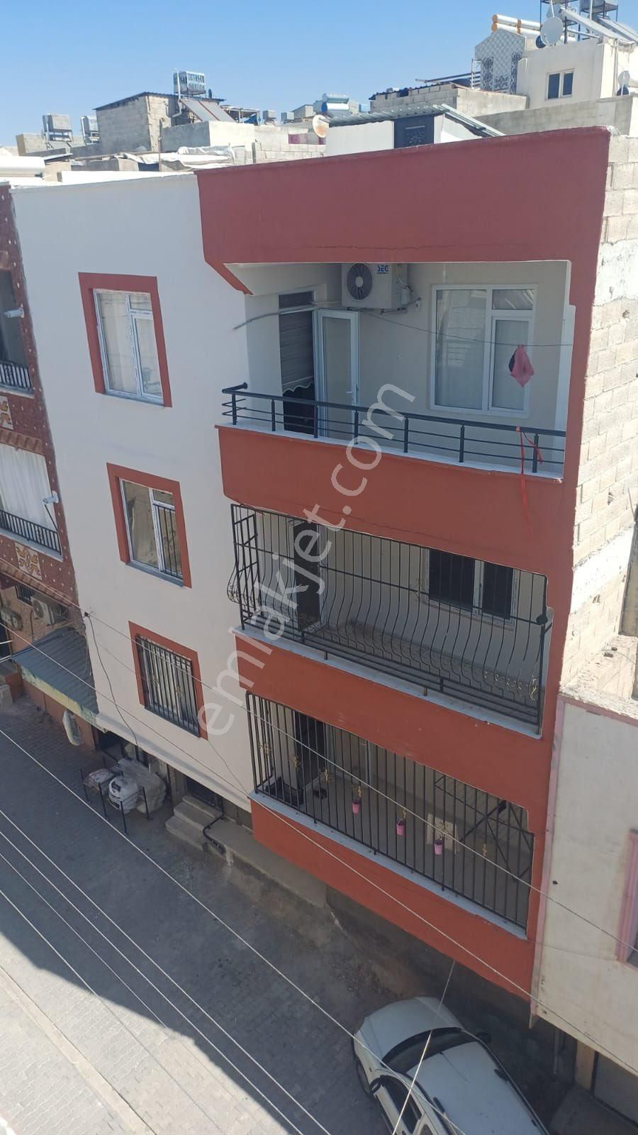 Ada Gymden Satılık Tekli Aşiret Paket