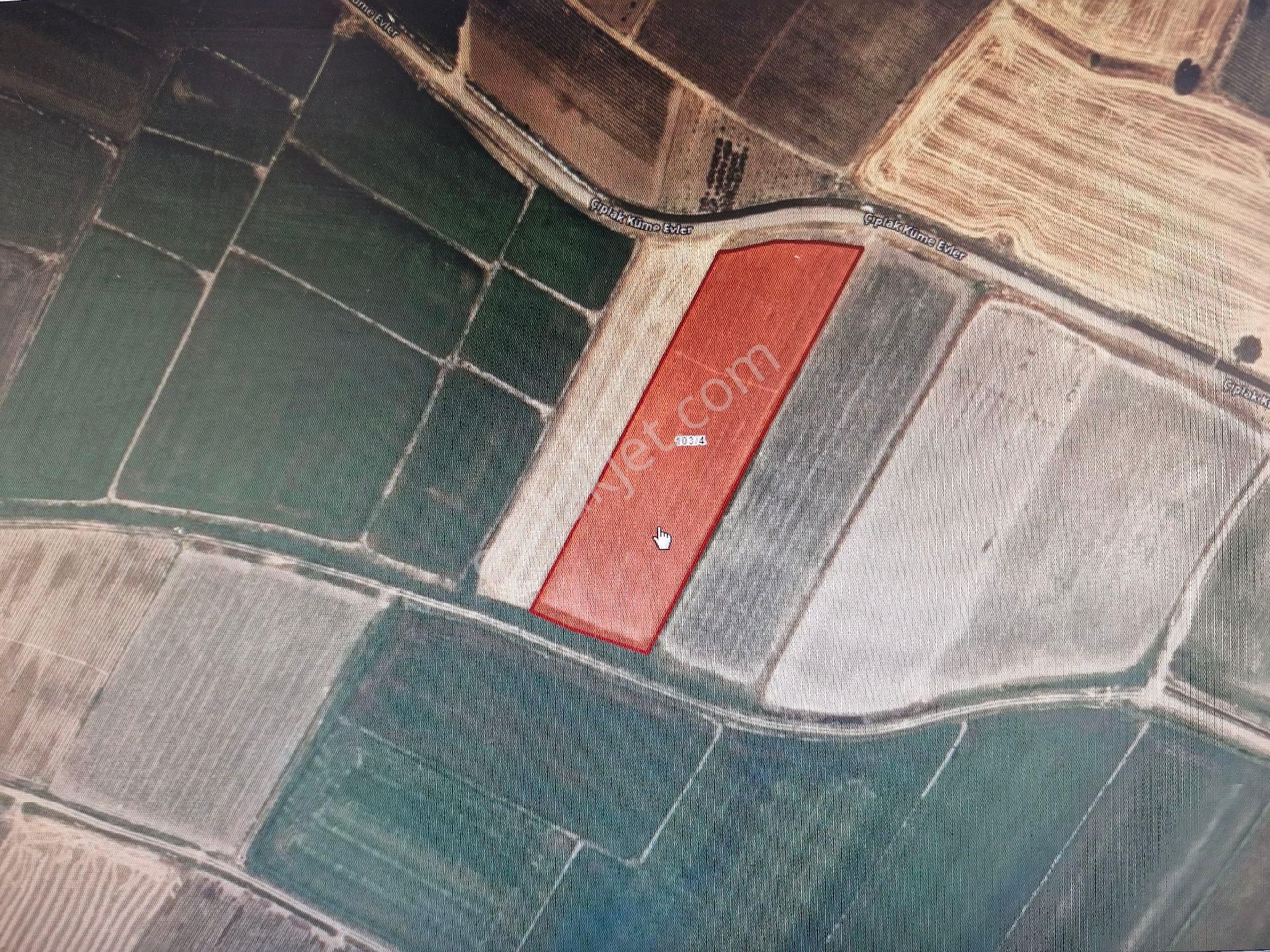 Acil Kelepir Çanakkale Merkez Çıplak Köyünde 9278 M2 Tarla Mkd
