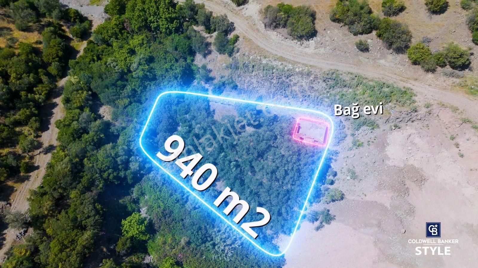 Dikili Çandarlıda Deniz Manzaralı Satılık Zeytinlik