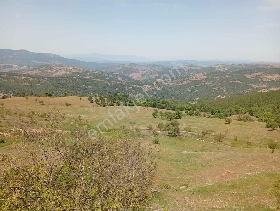Akhisar Hanpaşa Da Yatırımlık 9.400 M2 Akarsuyu Olan Tarla 360.000 Tl