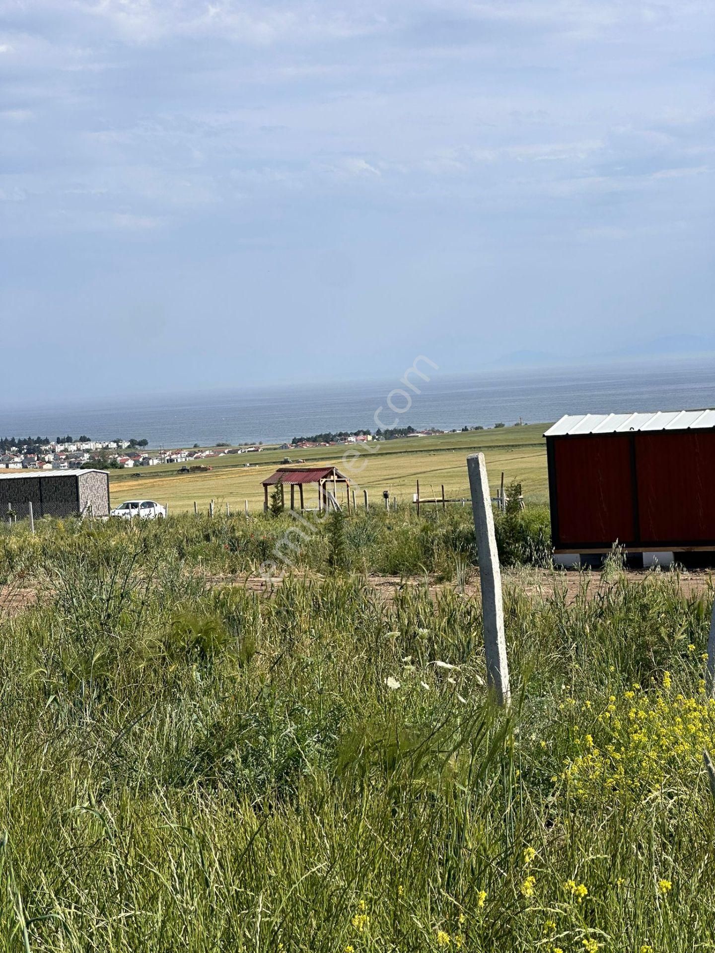 Marmaraereğli Full Deniz Manzaralı Etrafı Çevrili 1100 M2 Arsa Fırsatı