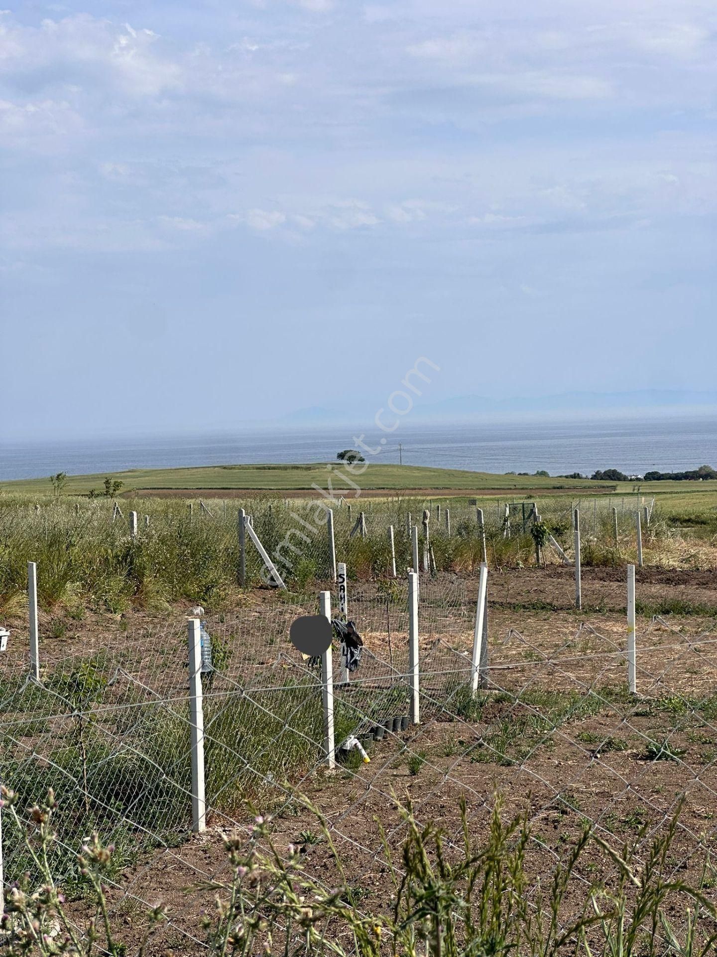 Marmaarereğlisi Çeşmeli Denize Yürüme Mesafesinde 350 M2 Etrafı Çevrili Arsa