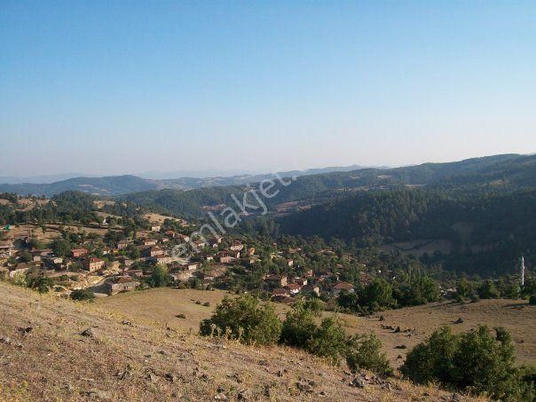 Kazdağları Yenice Soğucak Köy İçi İmarlı Ev Yapımına Uygun Arsa