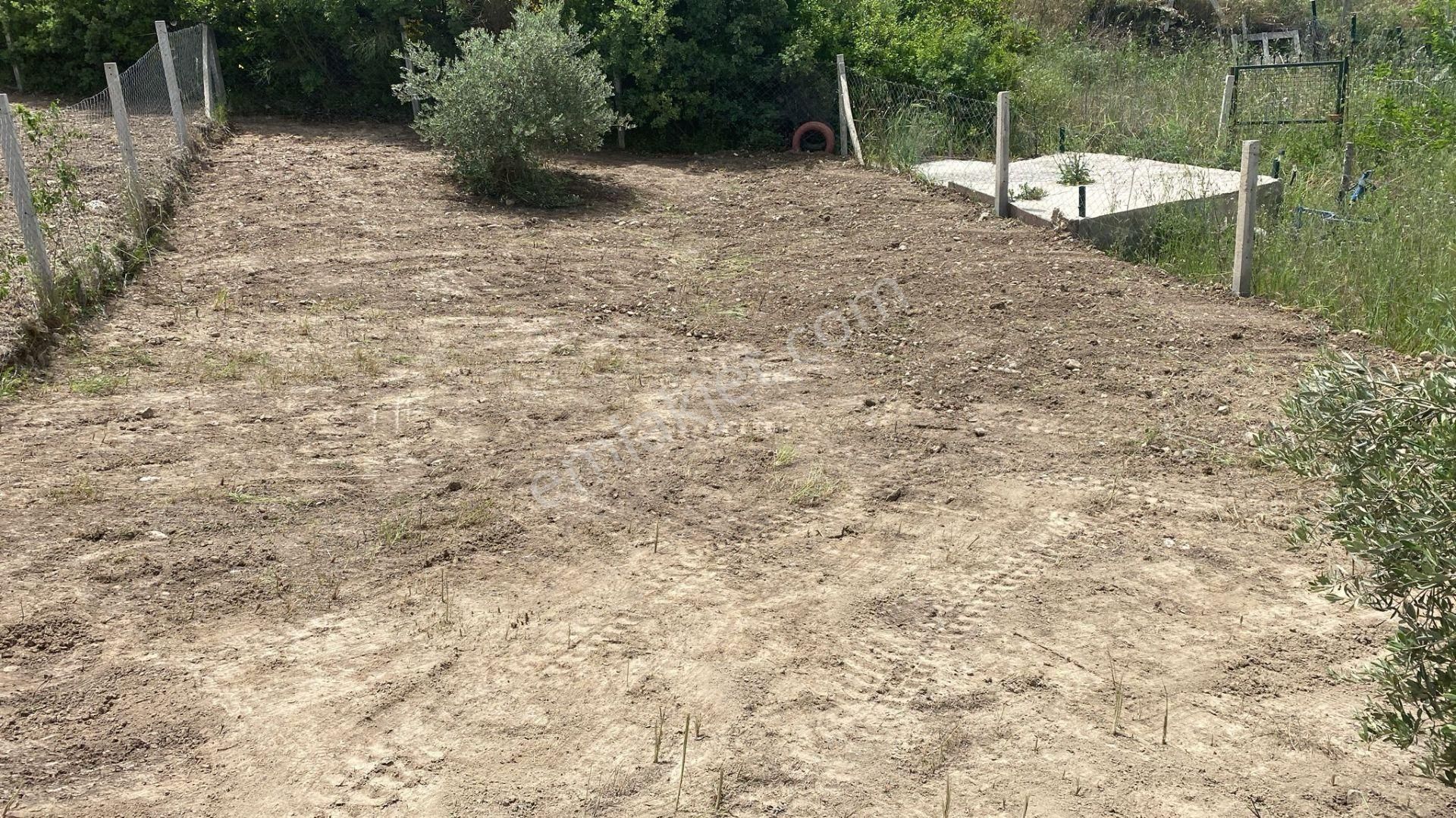 İzmır Buca Belenbaşı Tapulu Satılık Tarla