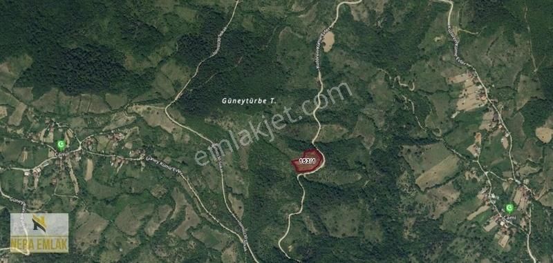 Yatırıma-kullanıma Uygun İlçe Yakını Kadastro Yola Cephe 5.539m2