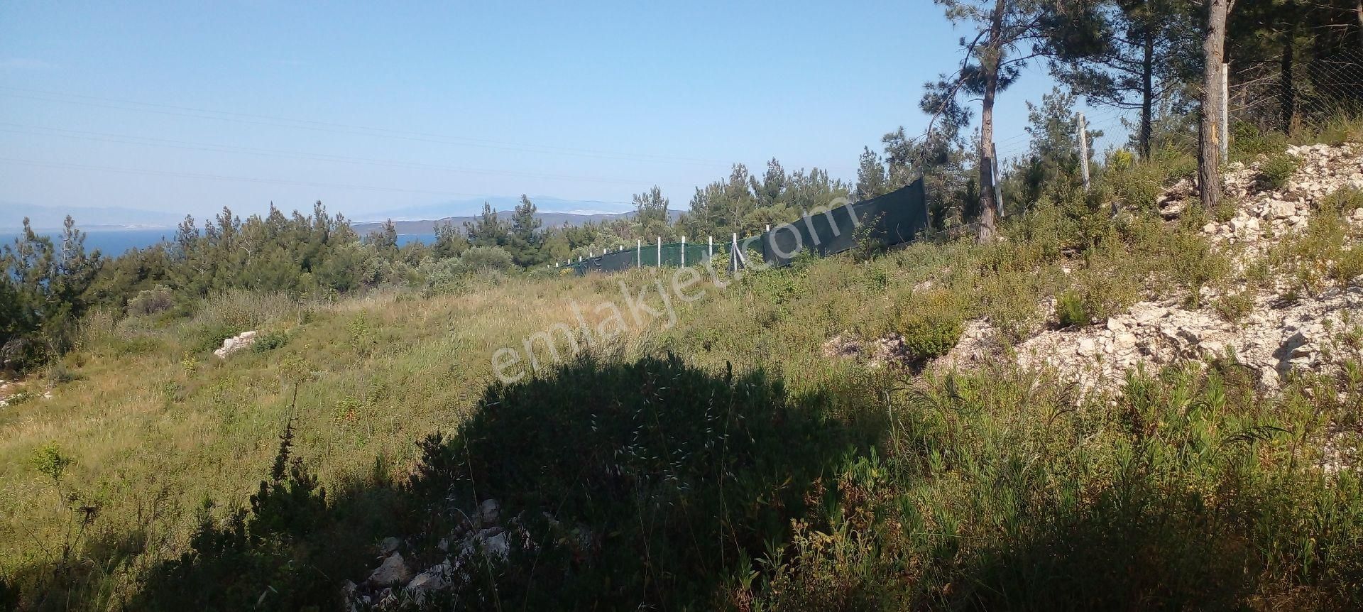 Mor Çiçek Emlak Karaburun Mordoğanda Deniz Manzaralı Tarla - Görsel 21