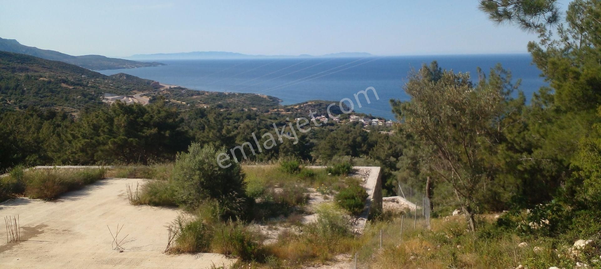 Mor Çiçek Emlak Karaburun Mordoğanda Deniz Manzaralı Tarla - Görsel 2