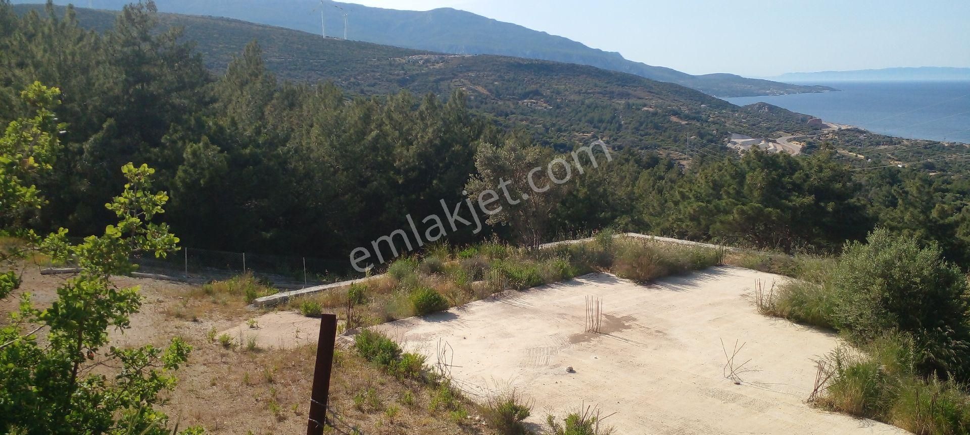 Mor Çiçek Emlak Karaburun Mordoğanda Deniz Manzaralı Tarla - Görsel 5