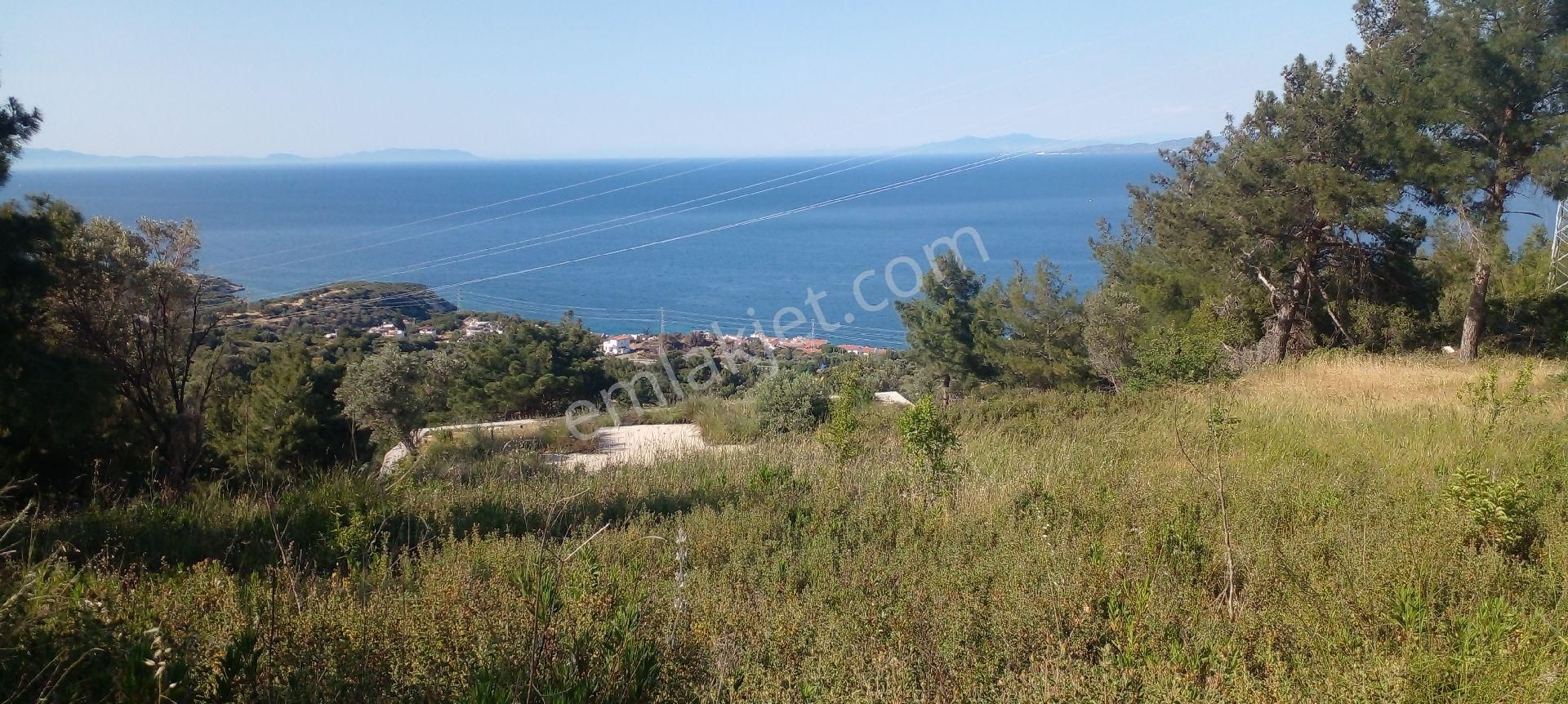 Mor Çiçek Emlak Karaburun Mordoğanda Deniz Manzaralı Tarla