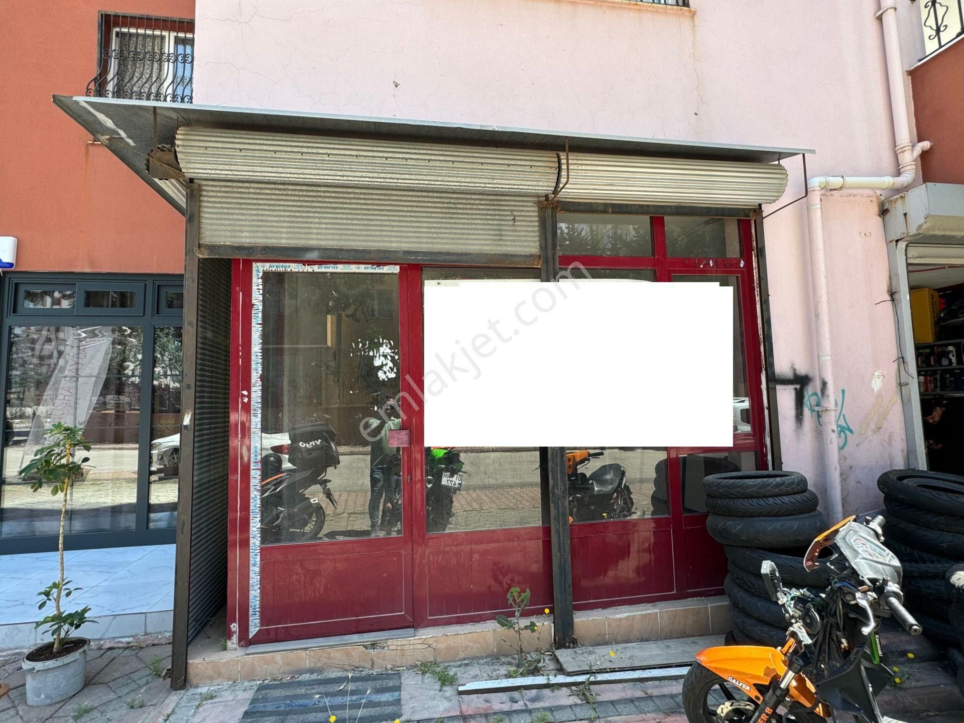 Piri Reis Cvr 40 M2 Mutfak+wc+iskanlı+hasarsız+20 M2 Ön Kullanım
