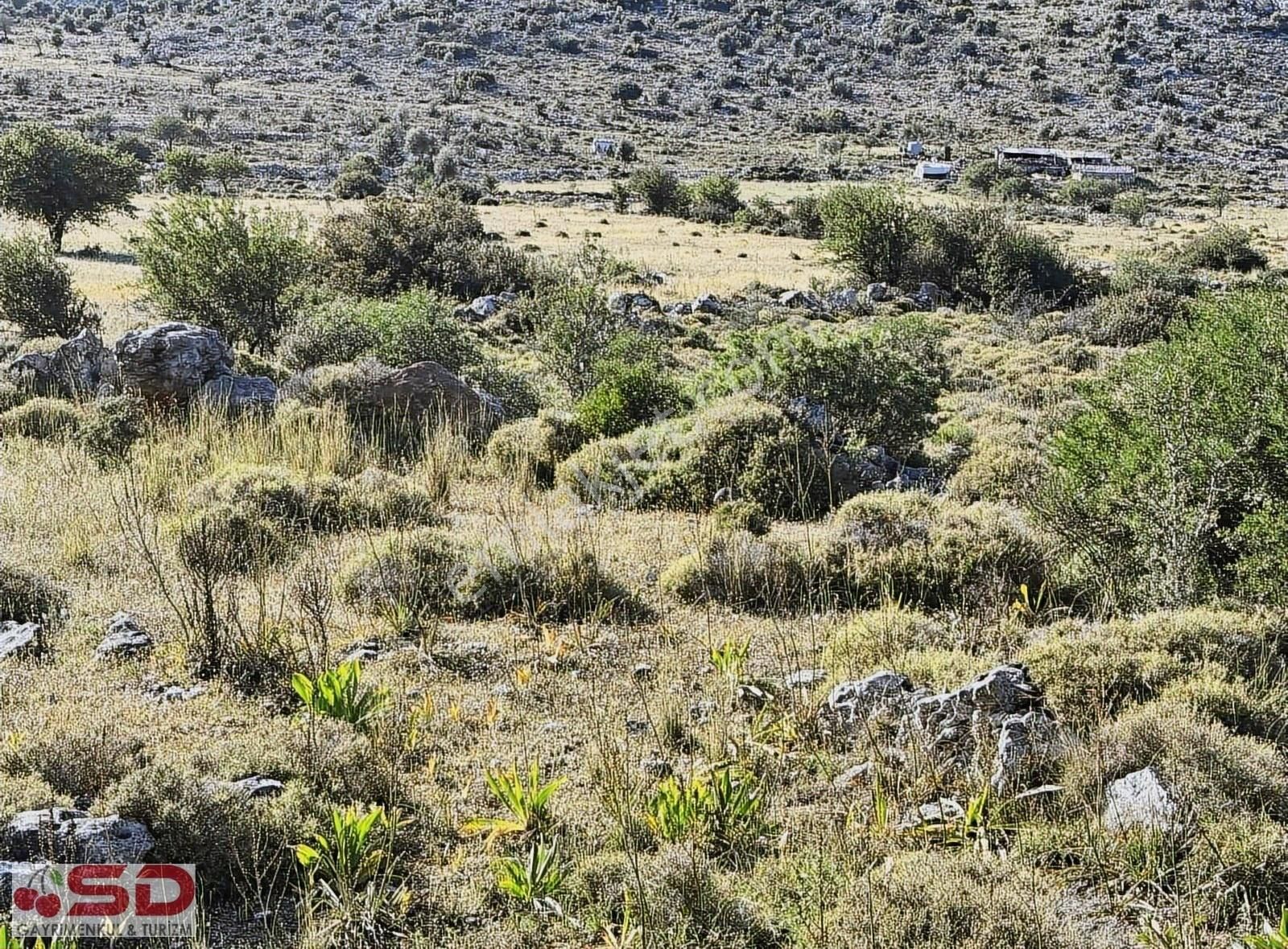 Söğütte Yatırım İçin 190 M2 Alıp 1 Sene Sonra Satmaya Uygun - Görsel 5