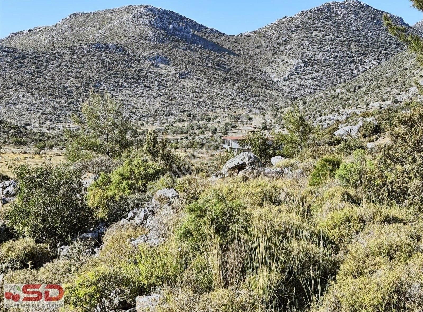 Söğütte Yatırım İçin 190 M2 Alıp 1 Sene Sonra Satmaya Uygun - Görsel 2