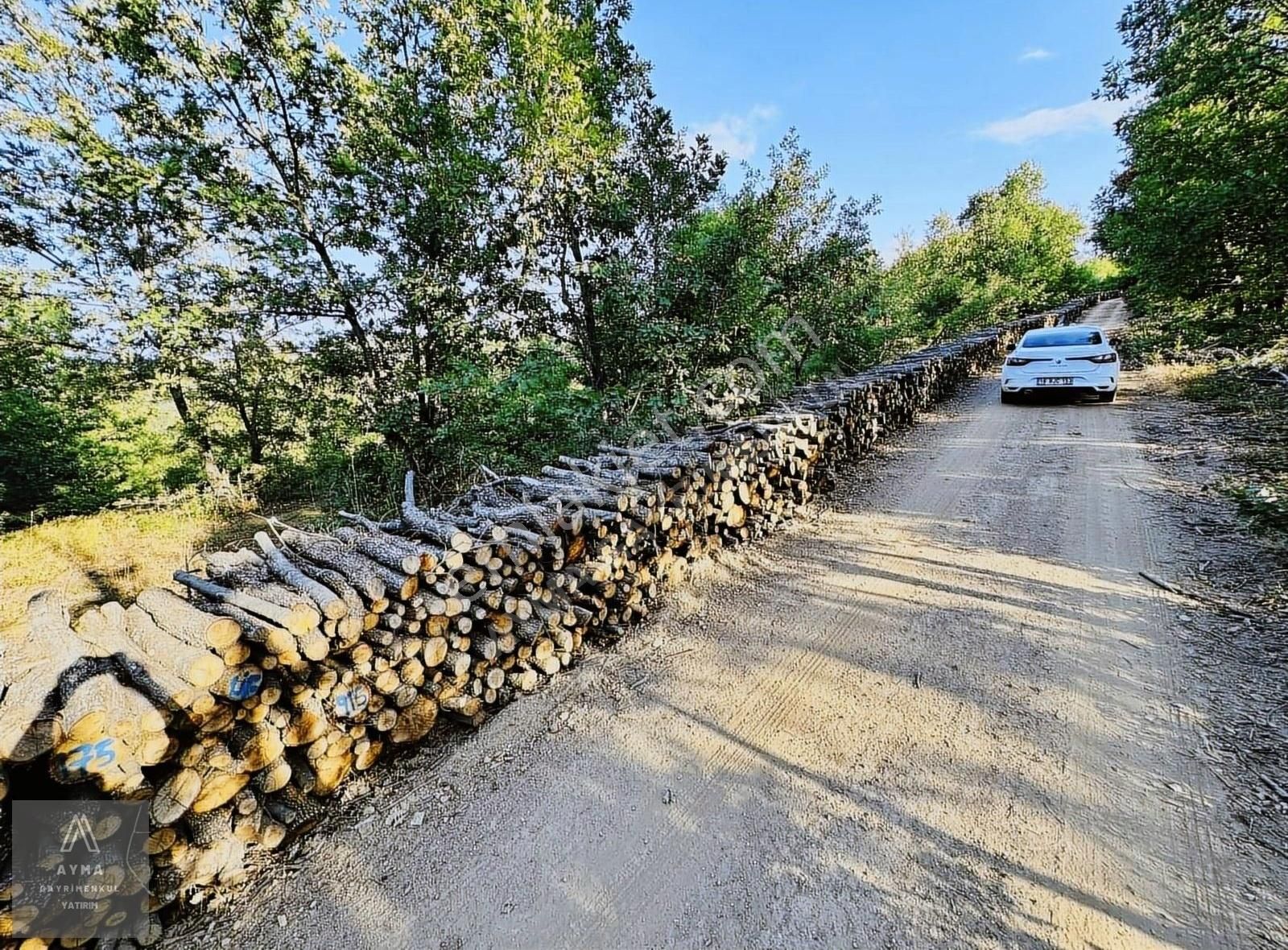 Ayma'dan İnegöl Cemiyet Mh 3380 M2 Tek Tapu Satılık Tarla