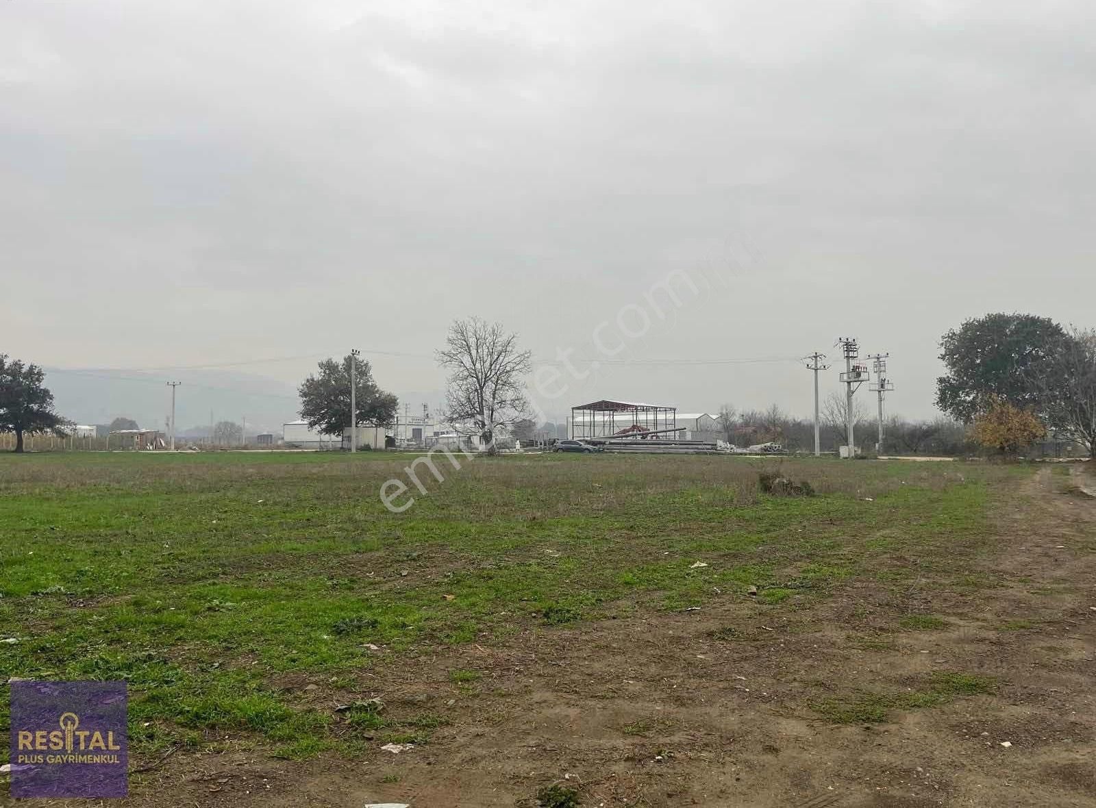 Yaylacık Fabrikalar Bölgesinde Yola Cephe 3.282m2 Bahçe