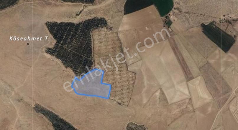 Etrafı Meyve Bahçesi Olan Satılık Tarla - Görsel 4