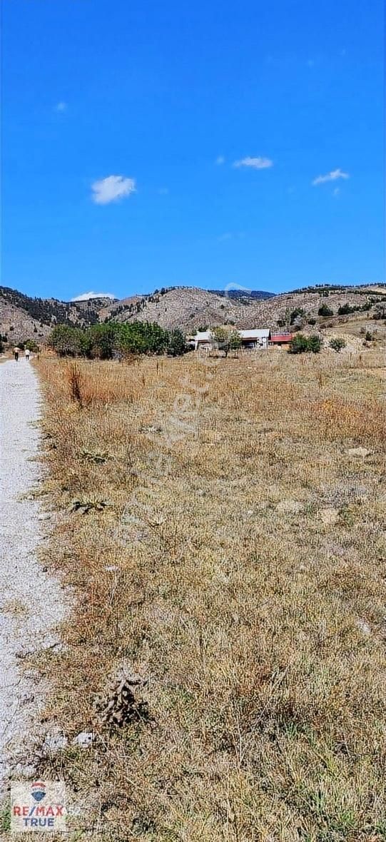Bolu Gerede Karacadağdemirciler Köyü Yola Cephe Yatırımlık Arsa