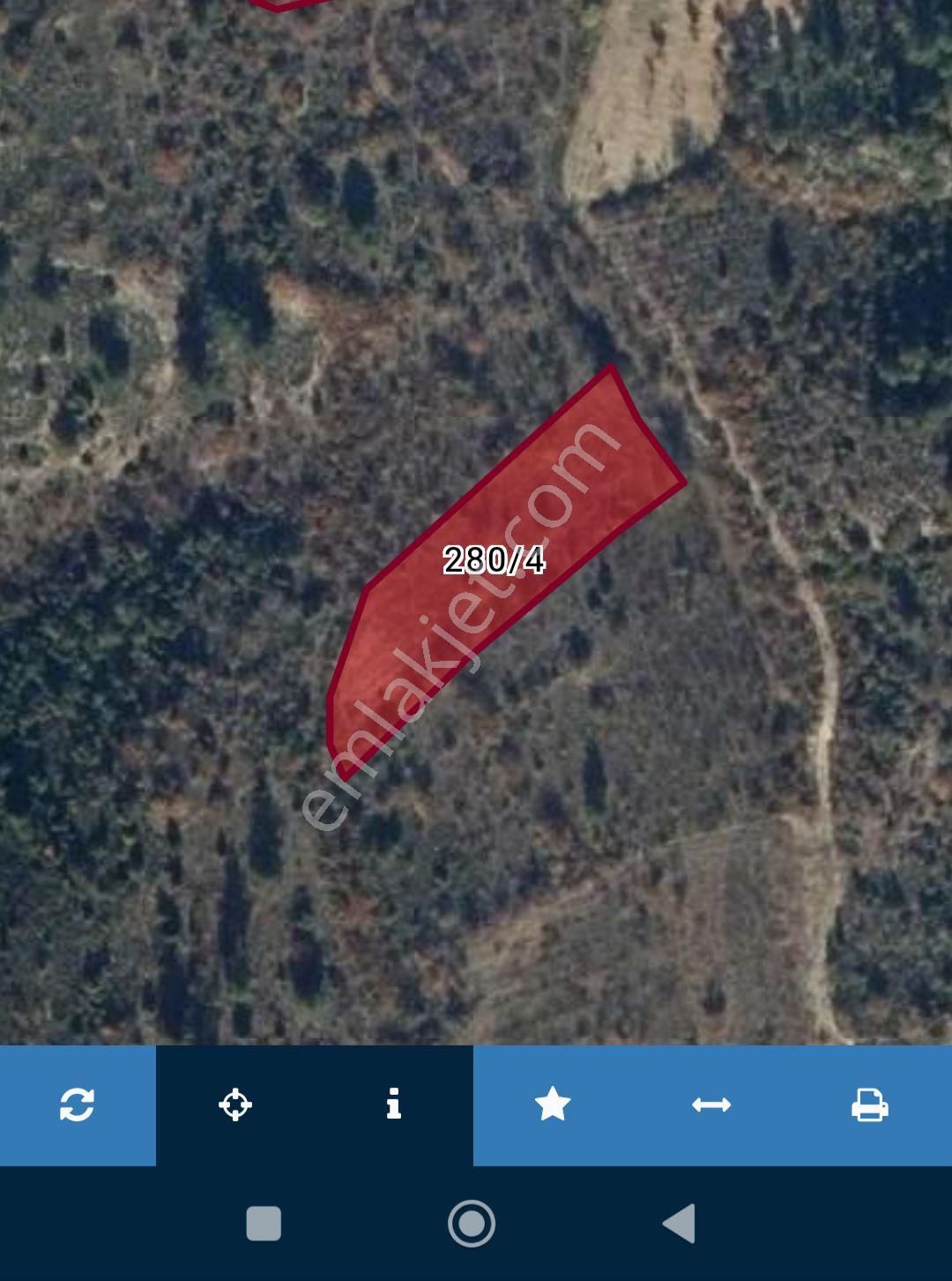 Satılık Zeytinlik