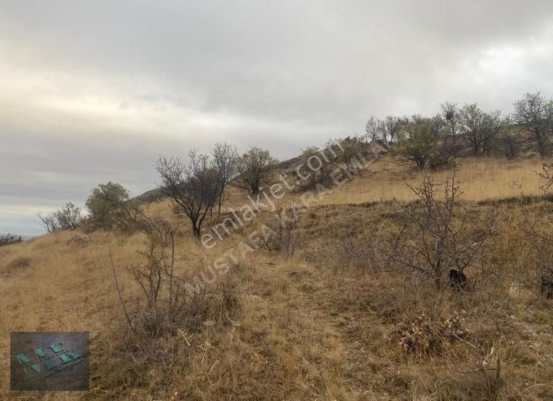 Mustafa Kara'dan Sulutas'da Konya Manzaralı Müstakil Parsel !! - Görsel 16