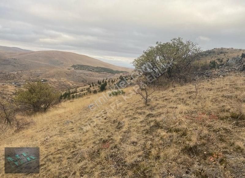 Mustafa Kara'dan Sulutas'da Konya Manzaralı Müstakil Parsel !! - Görsel 14