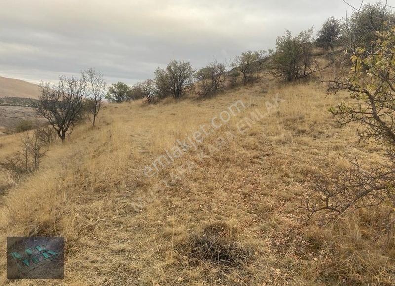 Mustafa Kara'dan Sulutas'da Konya Manzaralı Müstakil Parsel !! - Görsel 13