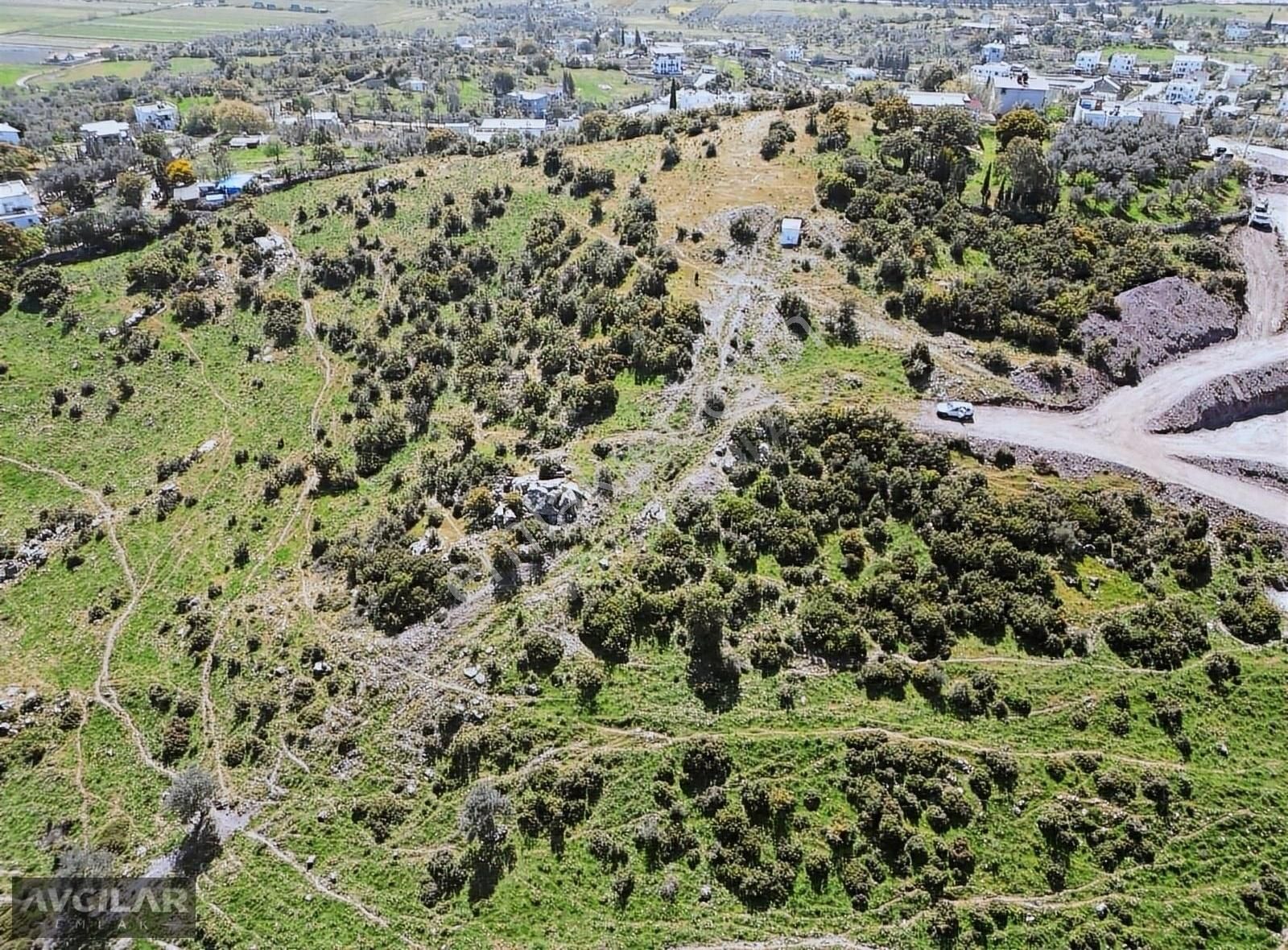 Meselıkte 15/30 İmarlı Arsa