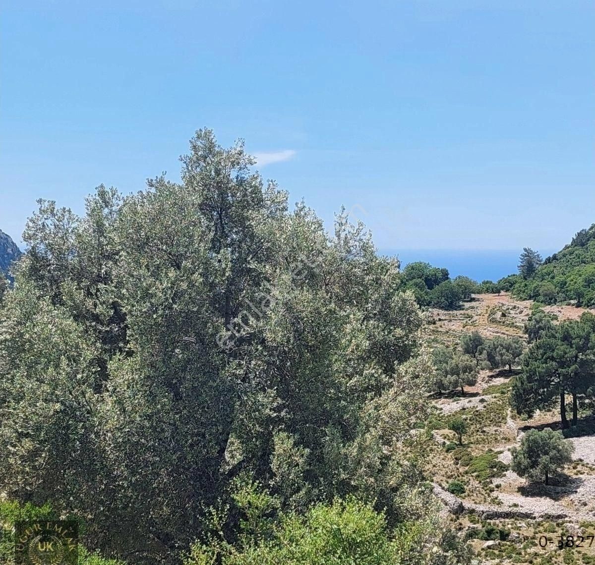 Uğur'dan Dodurga 'da Deniz Manzaralı Fırsat Arazi