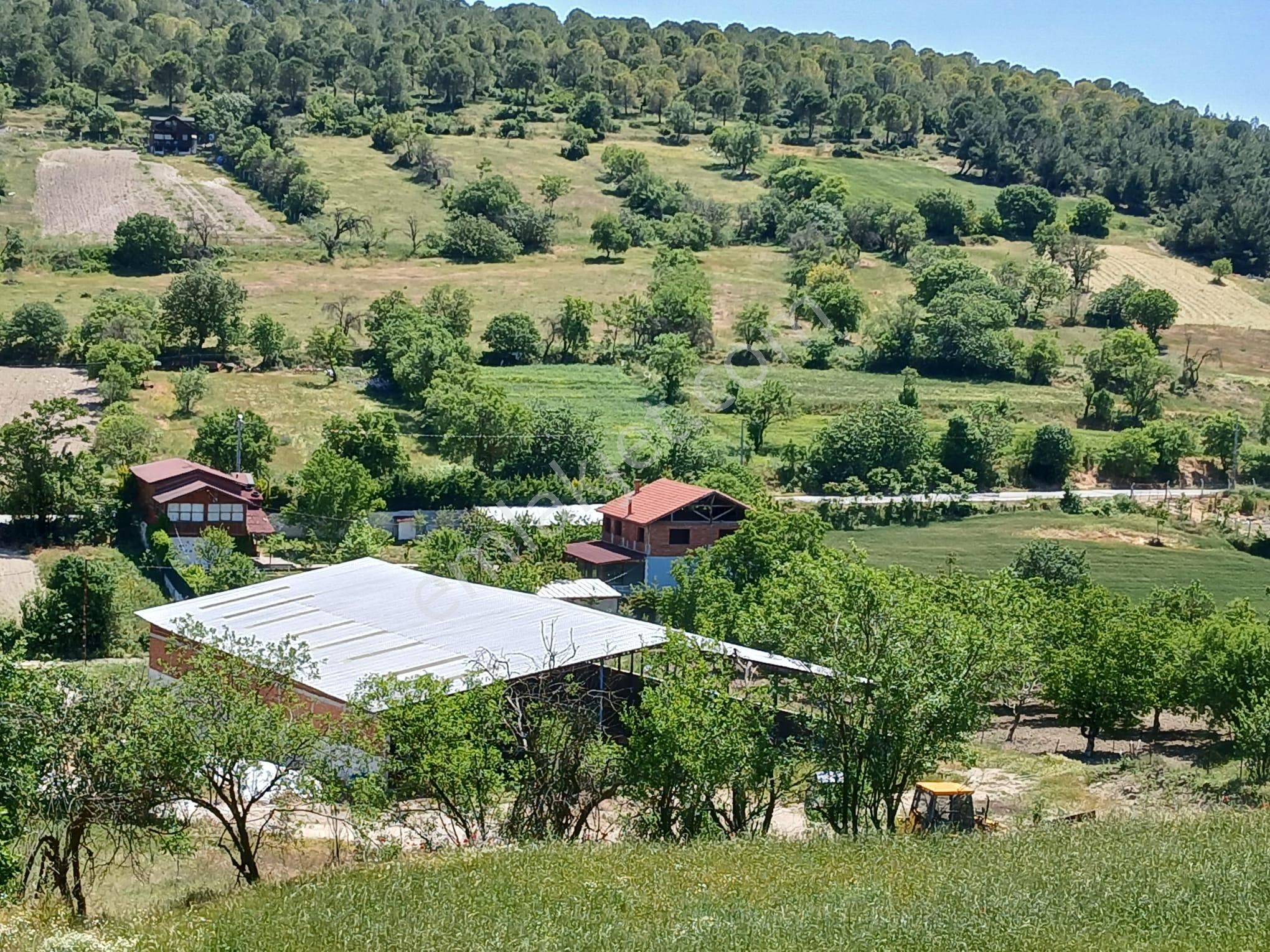 C21 Loca'dan Balıkesir Esenli'de Satılık 892m2 Hobi Bahçelik Bağ