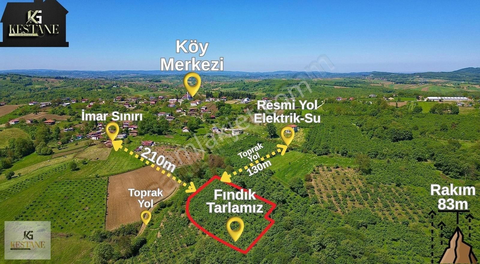 Denize 17dk Uzaklıkta| İmara 210m Uzakta| 1.5 Ton Fındık Çıkıyor