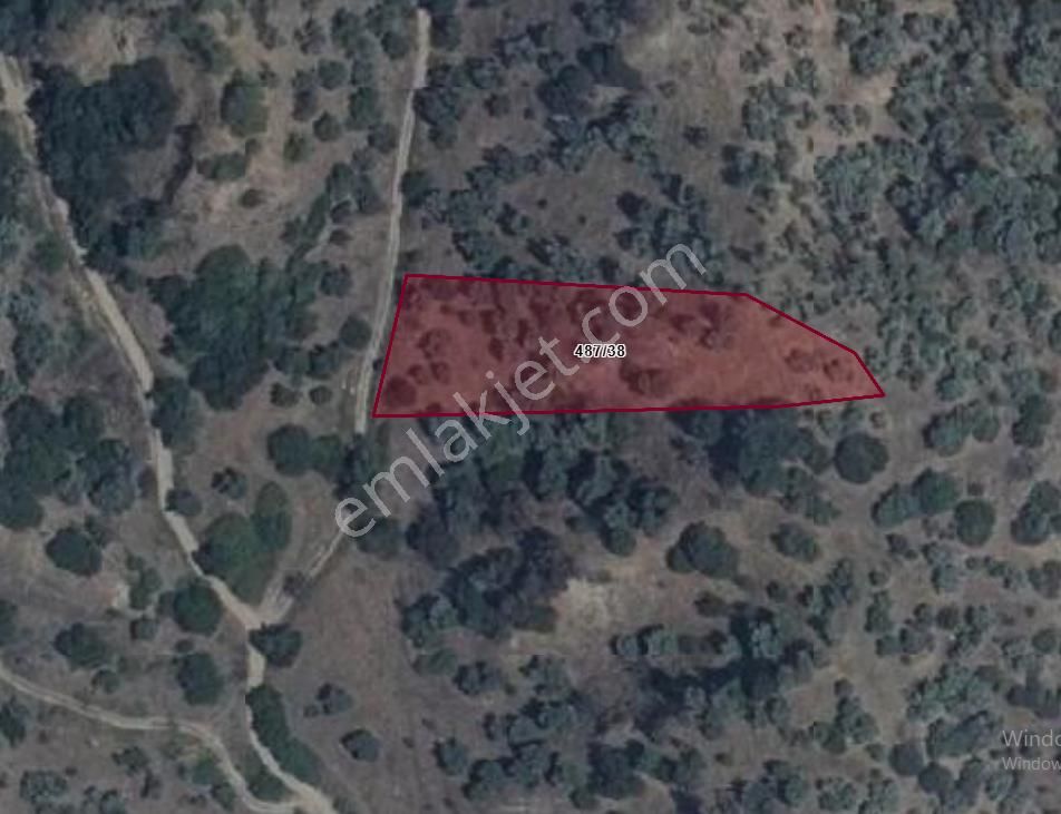 Atçada Fırsat Zeytin Bahçesi 2.377 M2 - Görsel 6