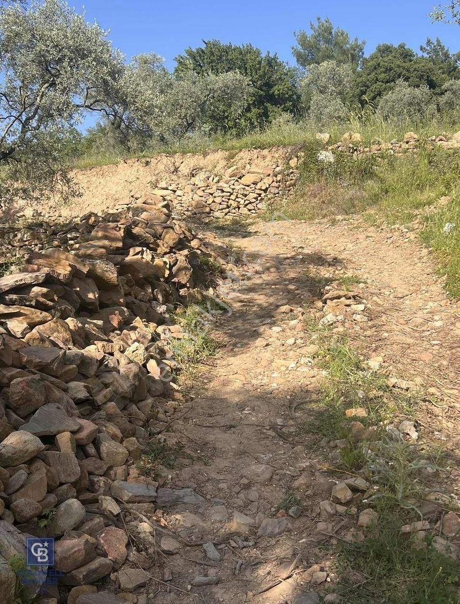 Milas Söğütçük Köyü 280 M2 Yolu Olan Arazimiz Satılıktır.