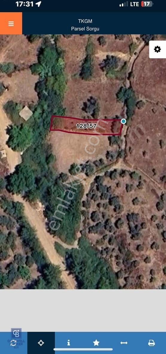 Milas Söğütçük Köyü 280 M2 Yolu Olan Arazimiz Satılıktır. - Görsel 8