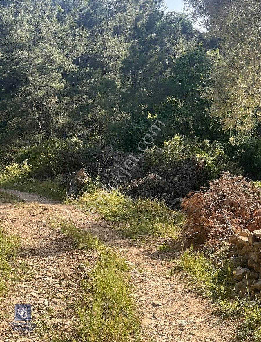 Milas Söğütçük Köyü 280 M2 Yolu Olan Arazimiz Satılıktır. - Görsel 9