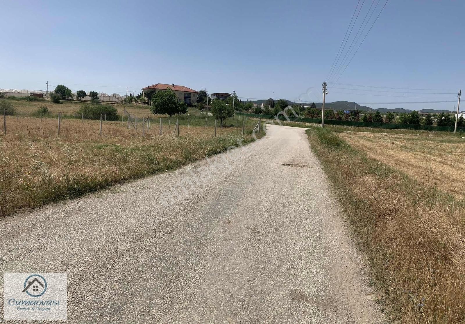 Cumaovası Emlak'tan Satılık Dereköy'de 317m Tapulu Bahçe