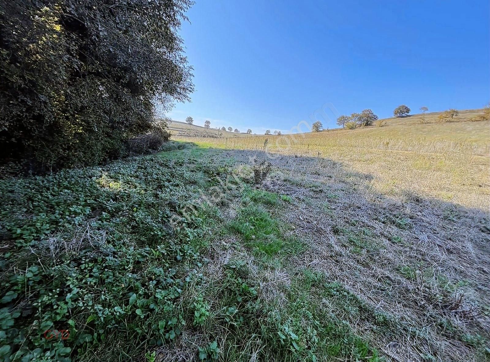 Arz Gyd-kaynarca Gaziler Satılık 1.200 M2 44 M. Yola Cephe Tarla