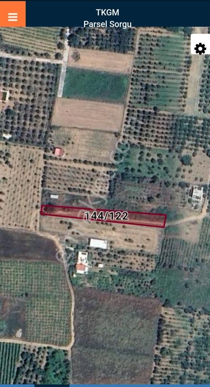 Kemalpaşa Aşağı Kızılca Ova Da Satılık Tek Tapu 1031 M2 Tek Tapu