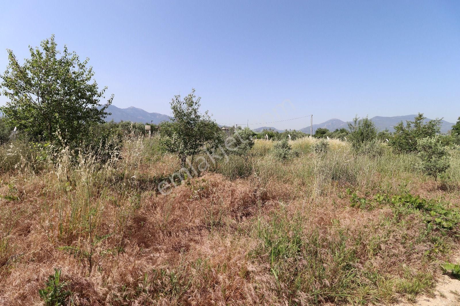 Kemalpaşa Aşağı Kızılca Ova Da Satılık Tek Tapu 1031 M2 Tek Tapu - Görsel 10