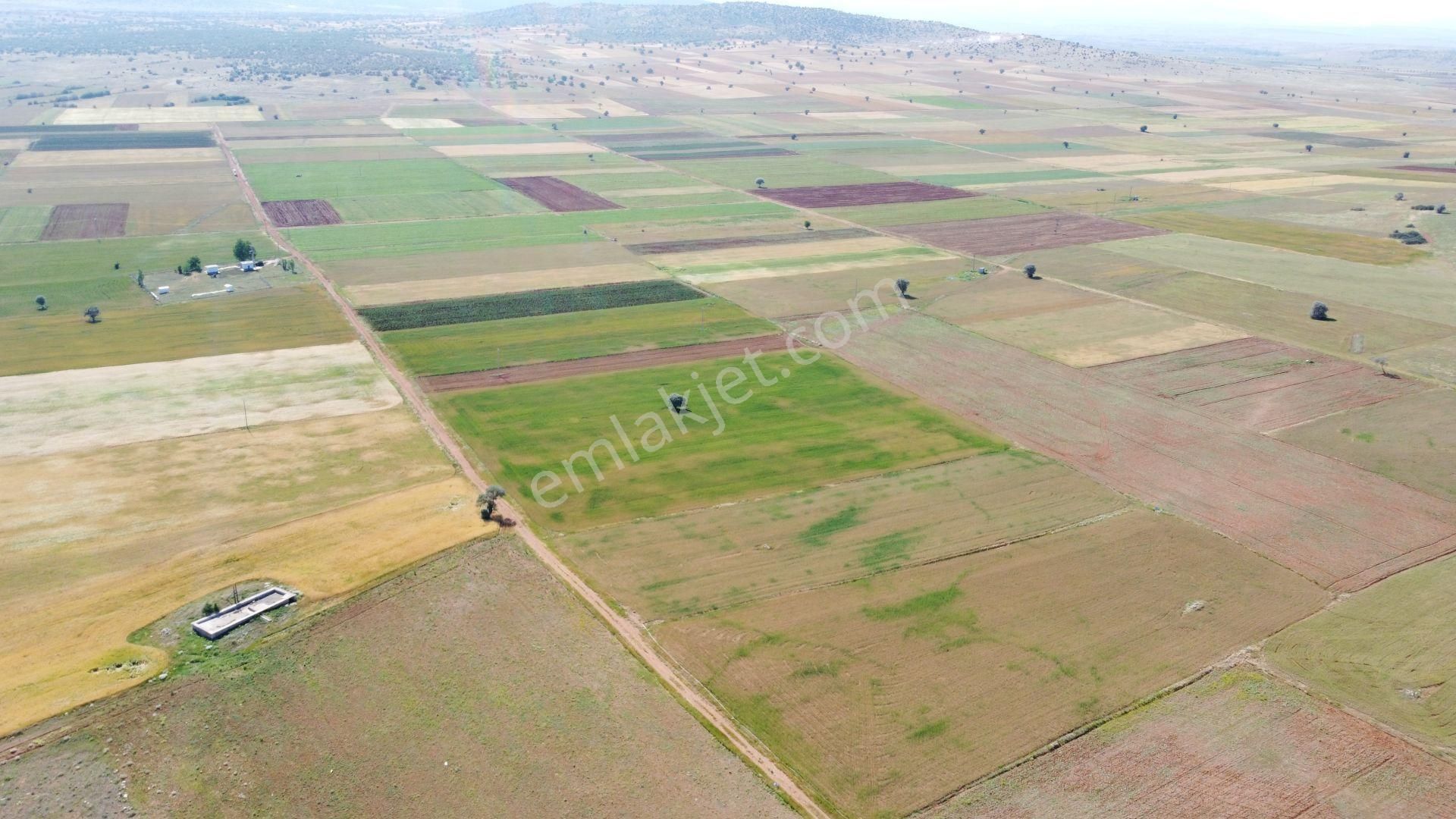 Konya / Akören / Hacılar Mahallesinde 5.402 M² Müstakil Tapulu Tarla