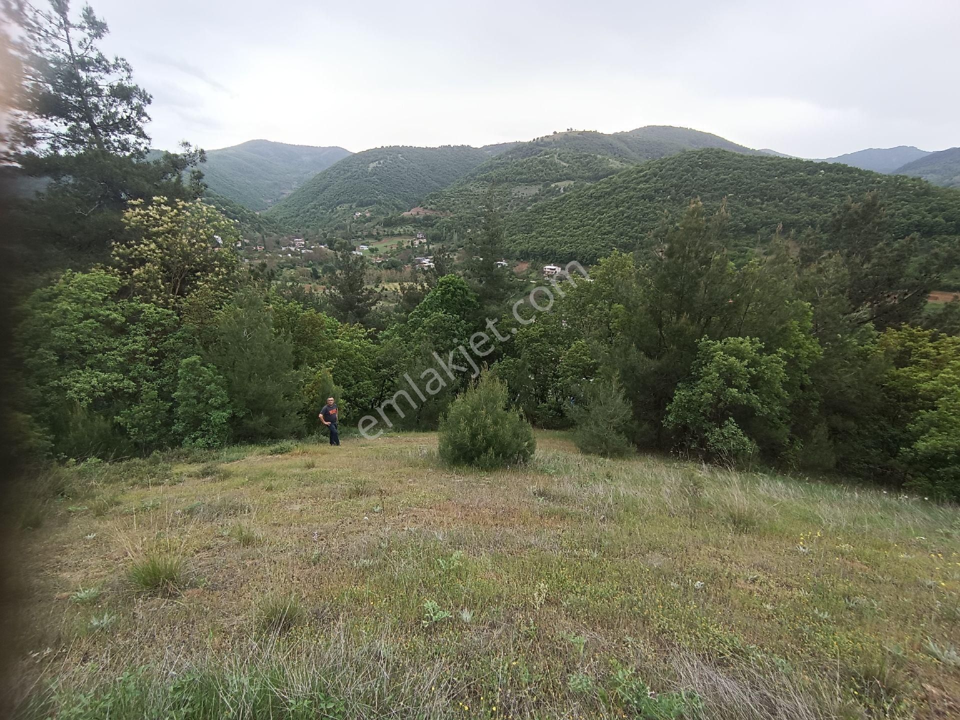 Osmangazi Çaybaşı Mahallesi Satılık Arazi