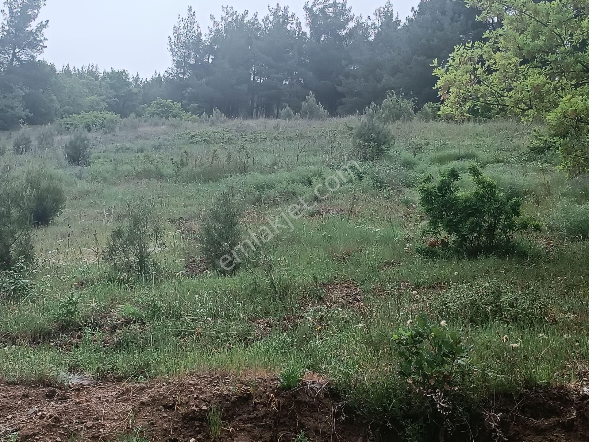 Osmangazi Çaybaşı Mahallesi Satılık Arazi - Görsel 13