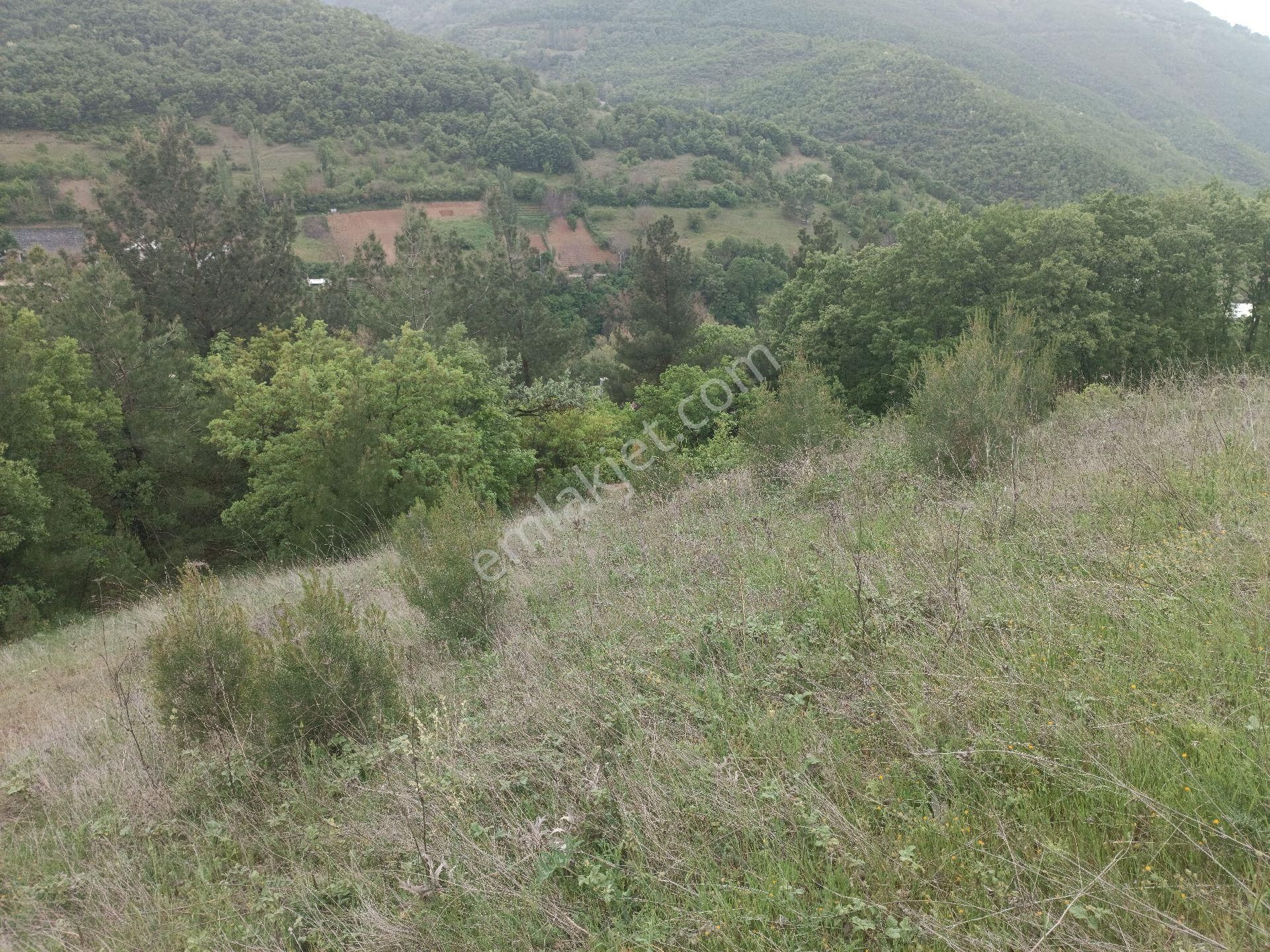 Osmangazi Çaybaşı Mahallesi Satılık Arazi - Görsel 5