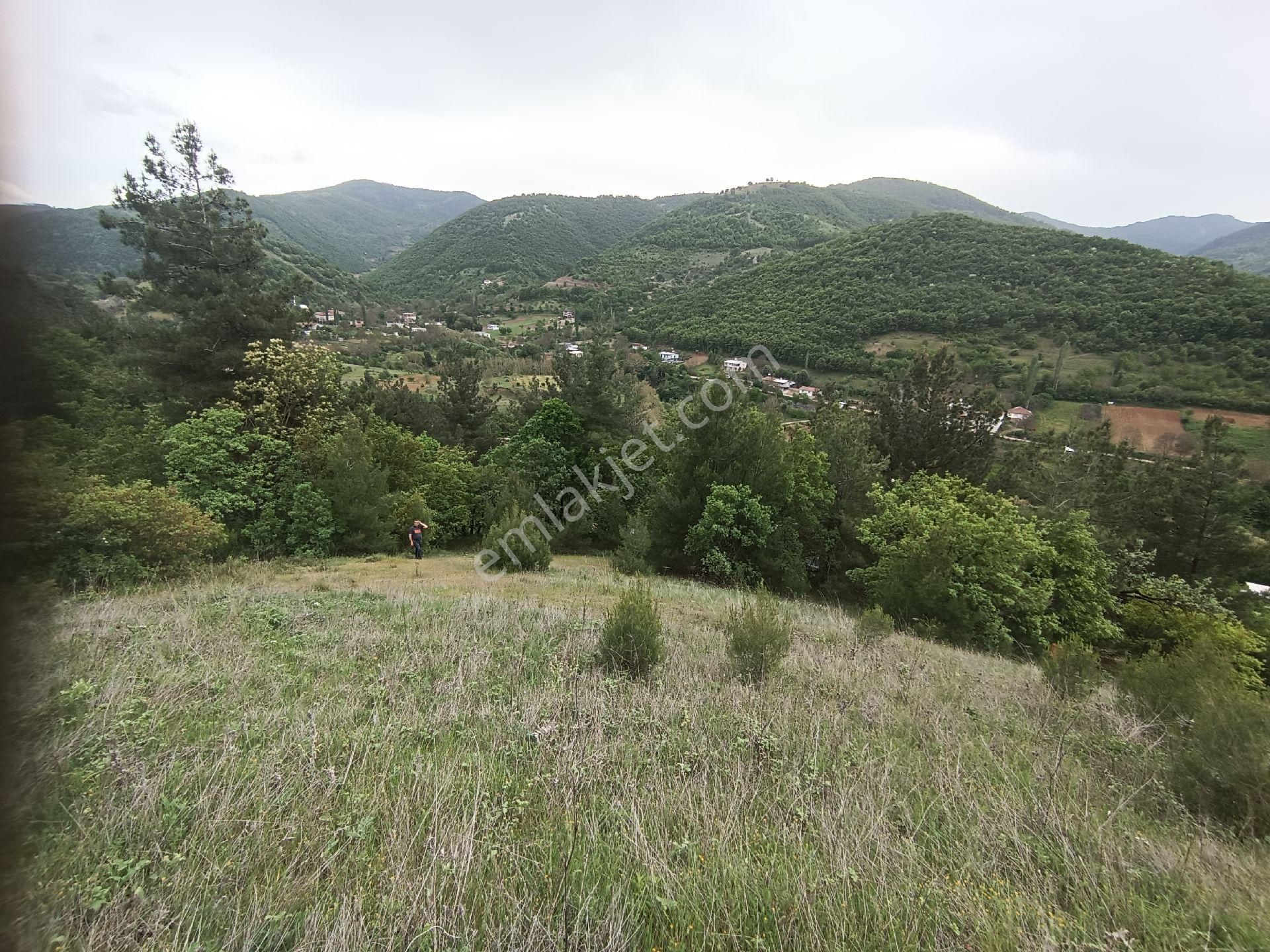 Osmangazi Çaybaşı Mahallesi Satılık Arazi - Görsel 8