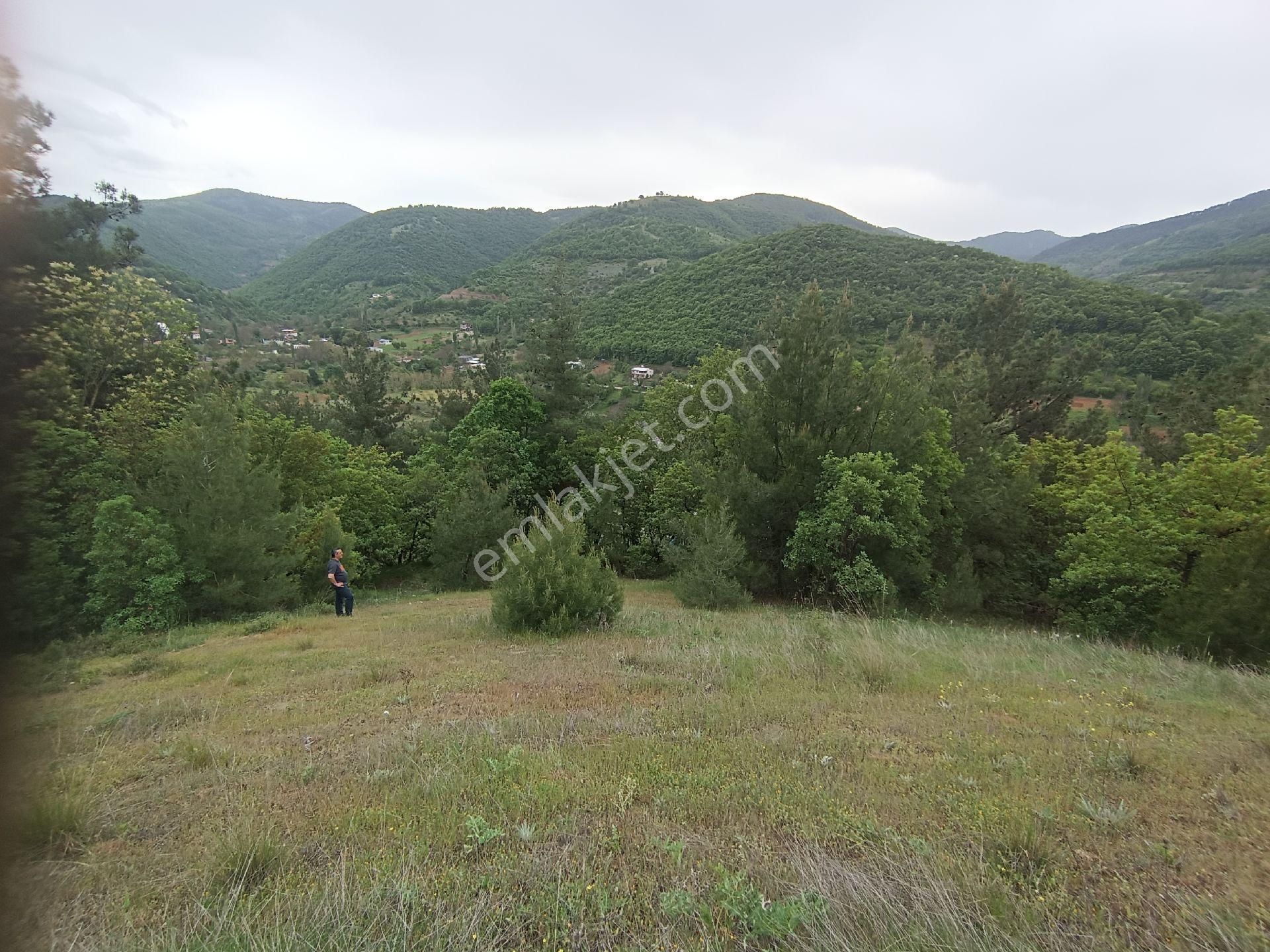 Osmangazi Çaybaşı Mahallesi Satılık Arazi - Görsel 3