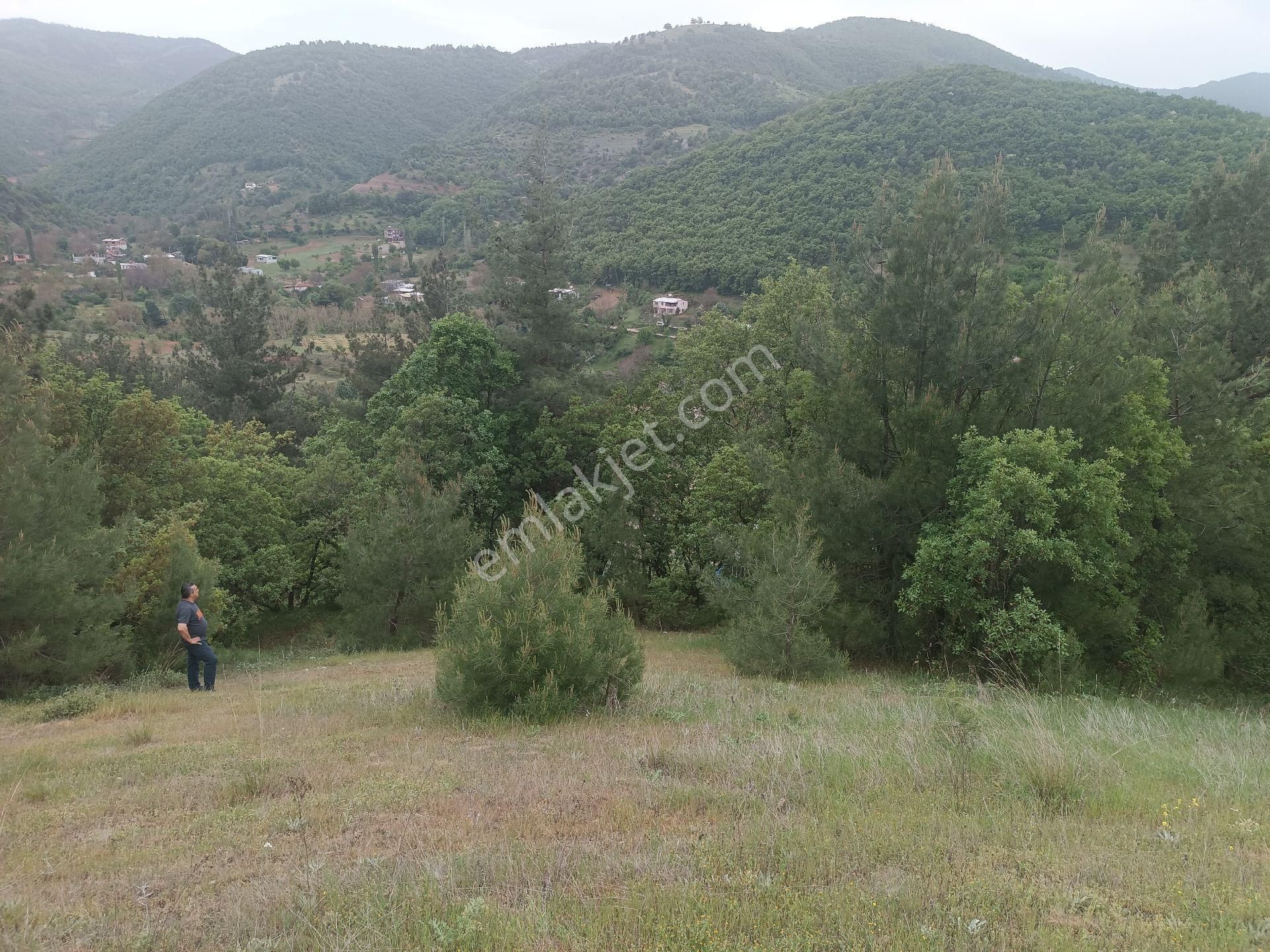 Osmangazi Çaybaşı Mahallesi Satılık Arazi - Görsel 2