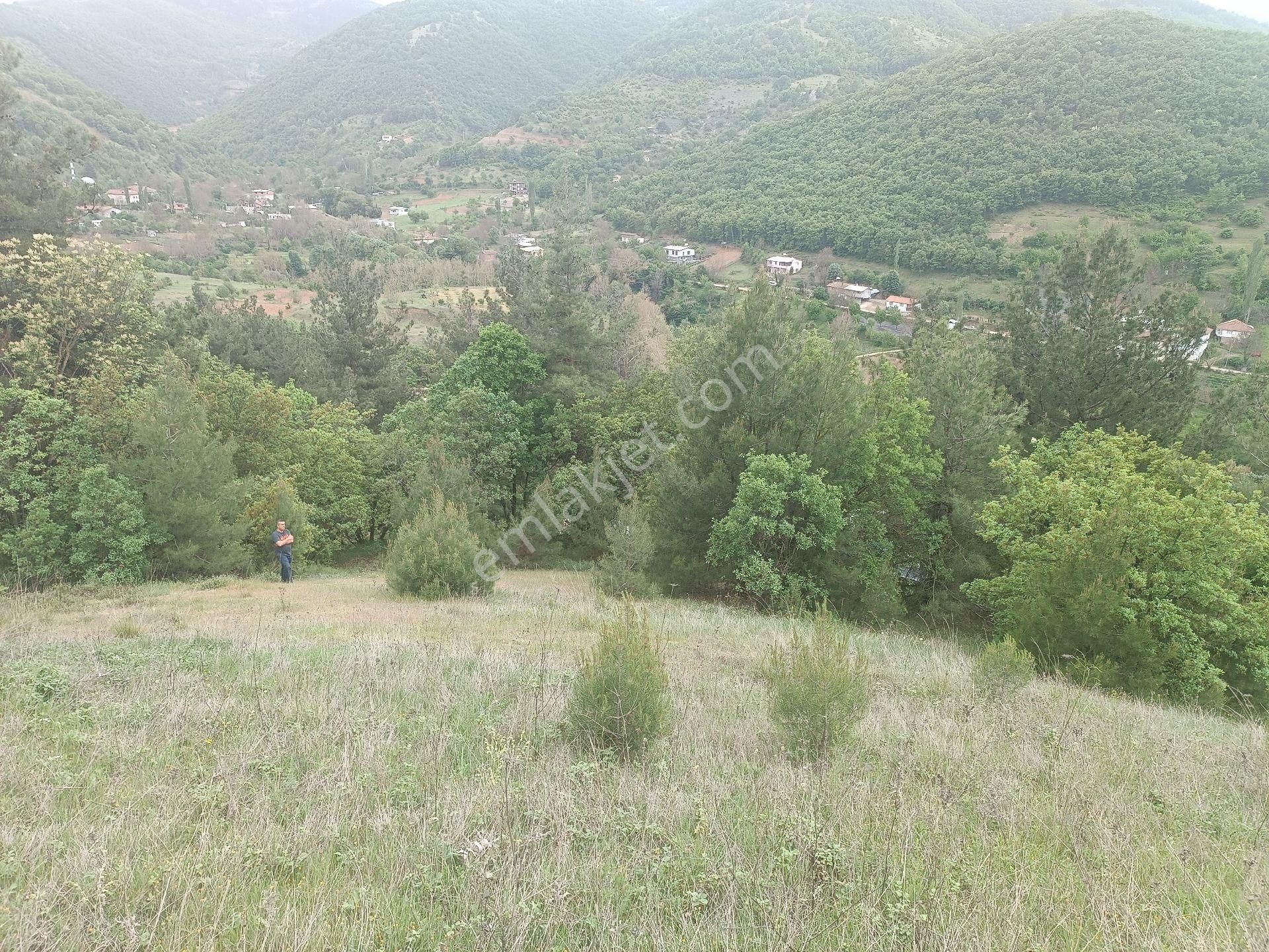 Osmangazi Çaybaşı Mahallesi Satılık Arazi - Görsel 18