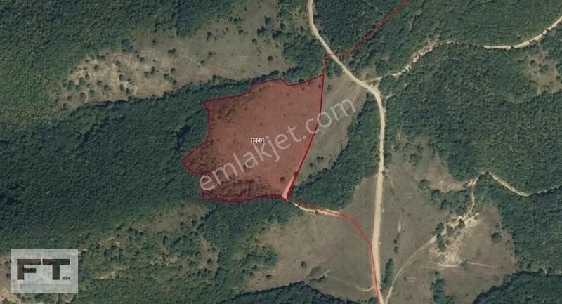 Ft Gayrimenkul Dan Kavak Kazancı Da Satılık Geniş Verimli Tarla