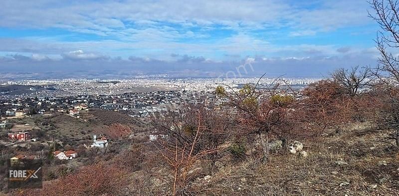 Hisarcıkta Eşsiz Manzaralı Bağ